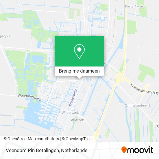 Veendam Pin Betalingen kaart