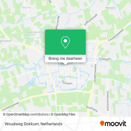 Woudweg Dokkum kaart