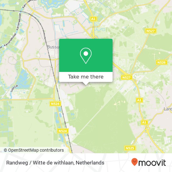 Randweg / Witte de withlaan kaart