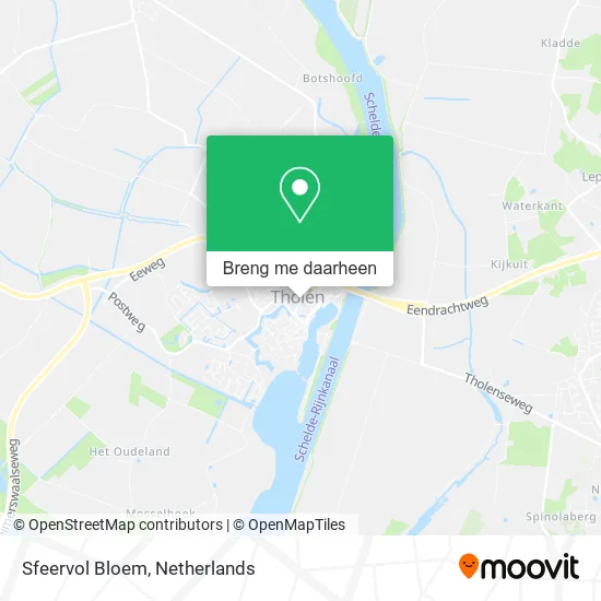 Sfeervol Bloem kaart