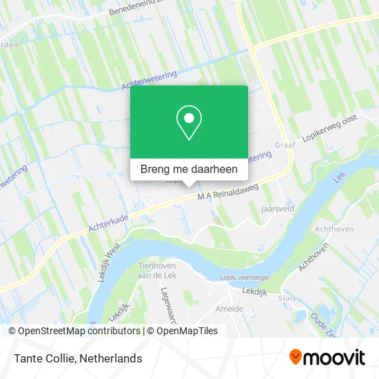 Tante Collie kaart