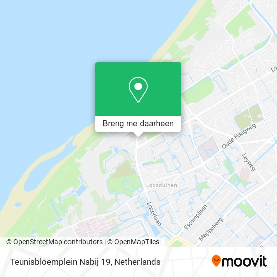 Teunisbloemplein Nabij 19 kaart