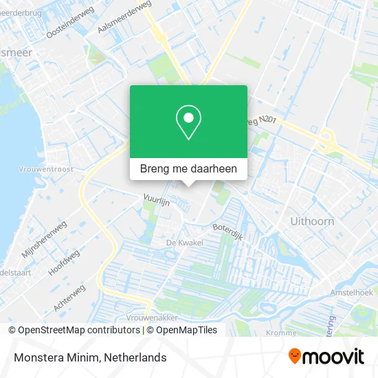 Monstera Minim kaart