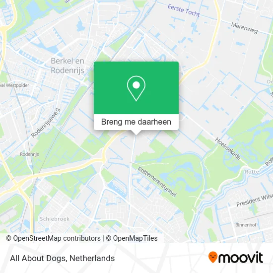 All About Dogs kaart