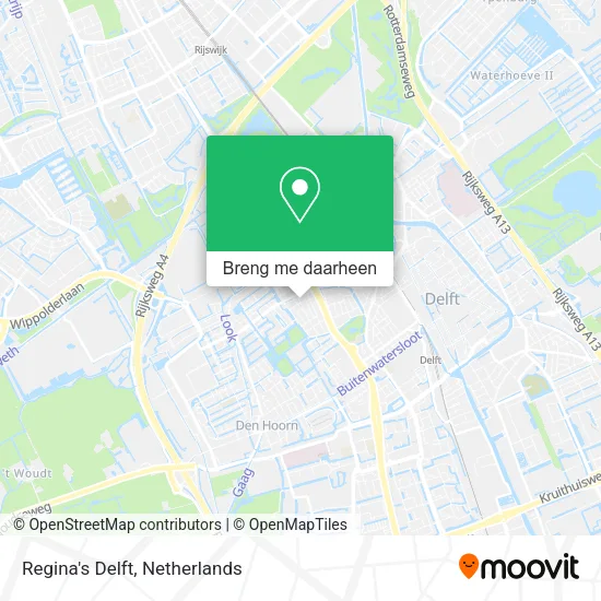 Regina's Delft kaart