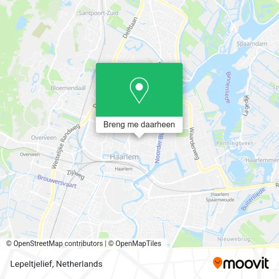 Lepeltjelief kaart