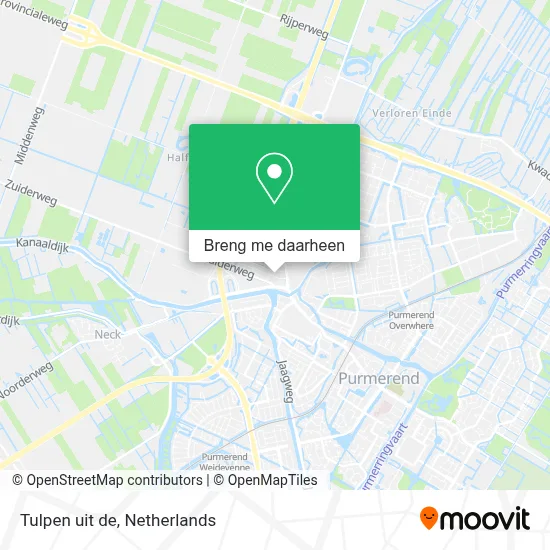 Tulpen uit de kaart