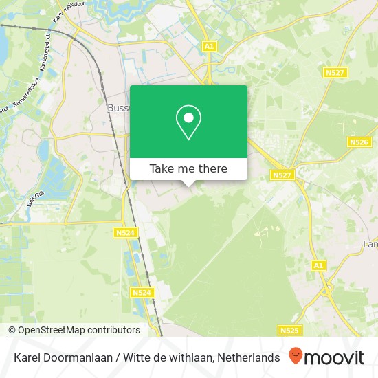 Karel Doormanlaan / Witte de withlaan kaart