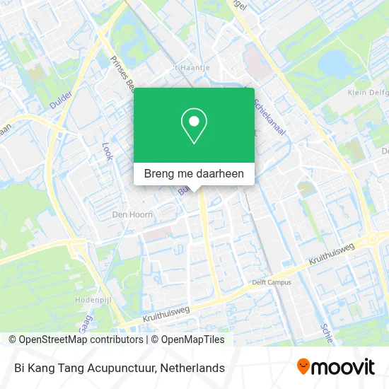 Bi Kang Tang Acupunctuur kaart