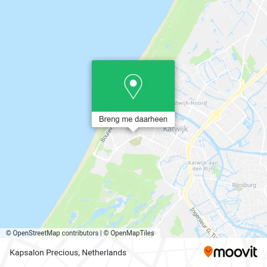 Kapsalon Precious kaart
