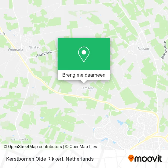 Kerstbomen Olde Rikkert kaart