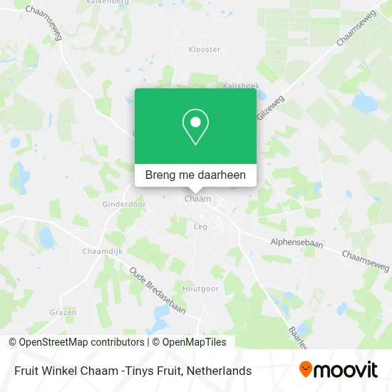 Fruit Winkel Chaam -Tinys Fruit kaart