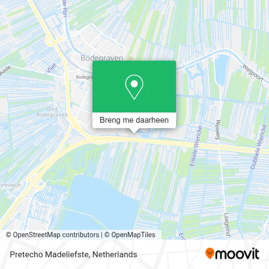 Pretecho Madeliefste kaart
