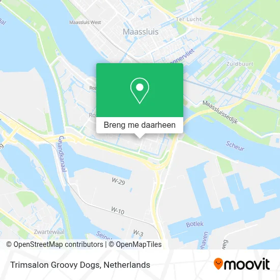 Trimsalon Groovy Dogs kaart