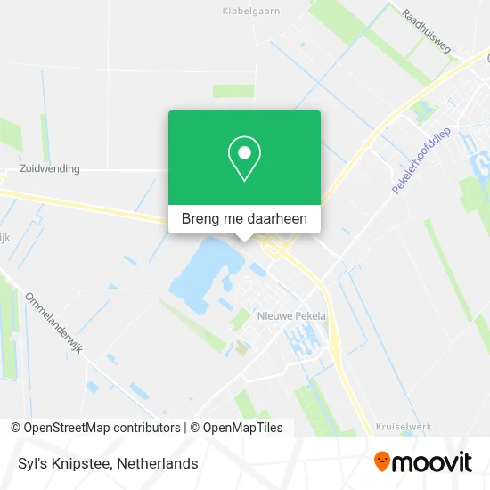 Syl's Knipstee kaart