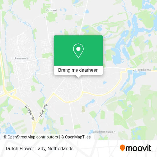 Dutch Flower Lady kaart