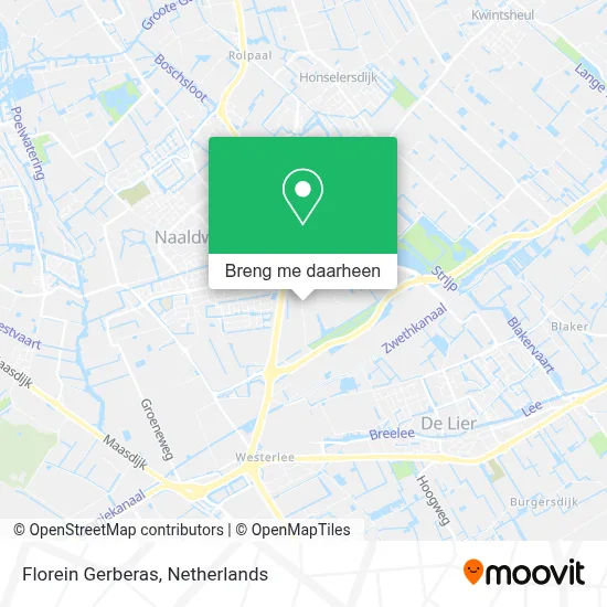 Florein Gerberas kaart