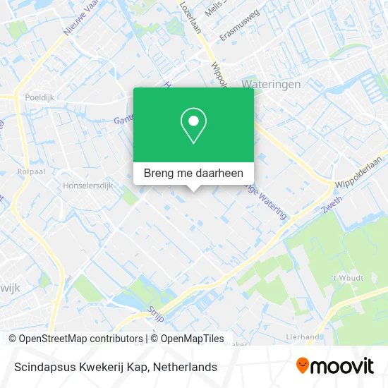 Scindapsus Kwekerij Kap kaart
