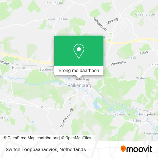 Switch Loopbaanadvies kaart