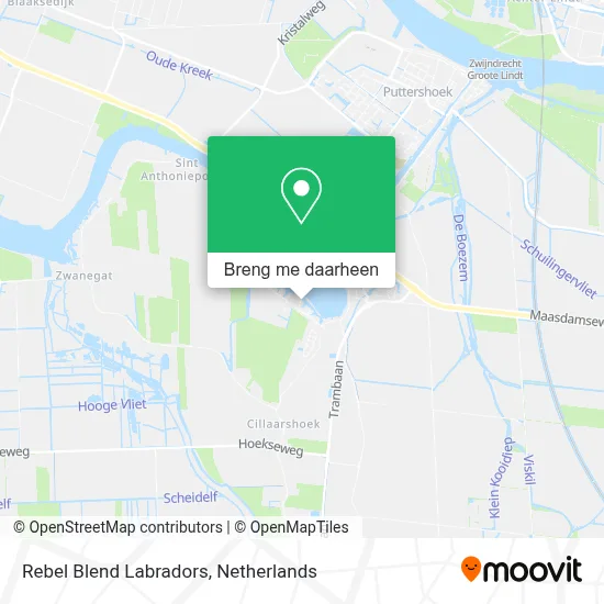 Rebel Blend Labradors kaart