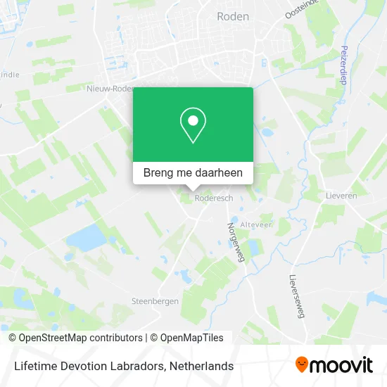 Lifetime Devotion Labradors kaart