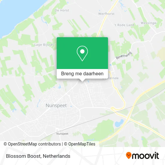 Blossom Boost kaart