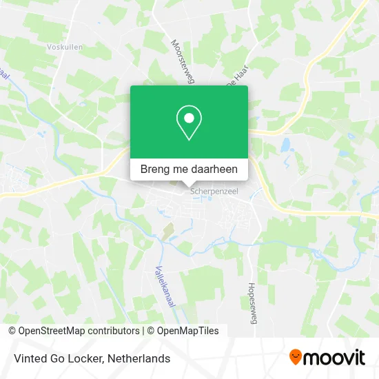 Vinted Go Locker kaart