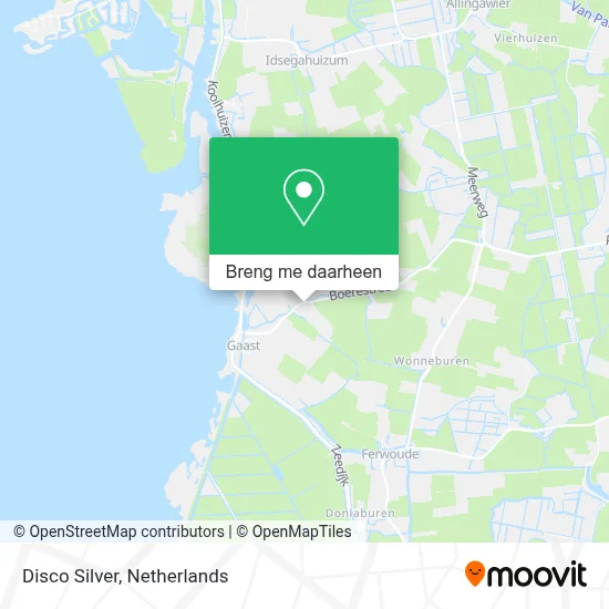 Disco Silver kaart