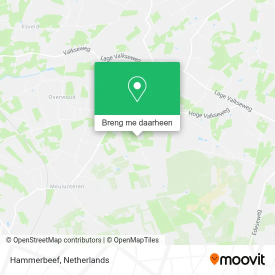Hammerbeef kaart