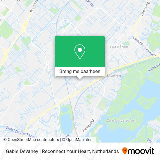 Gabie Devaney | Reconnect Your Heart kaart