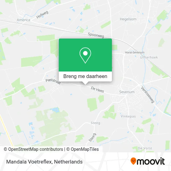 Mandala Voetreflex kaart