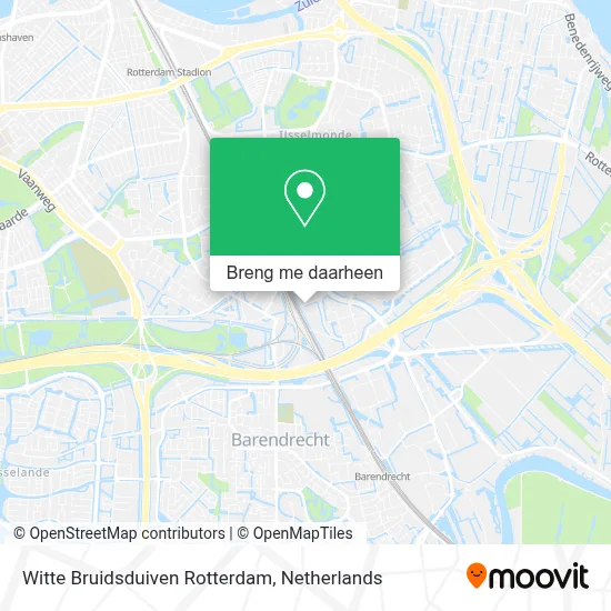 Witte Bruidsduiven Rotterdam kaart