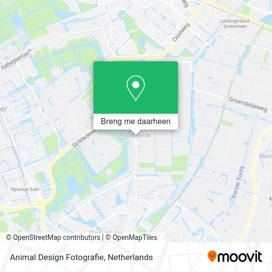Animal Design Fotografie kaart