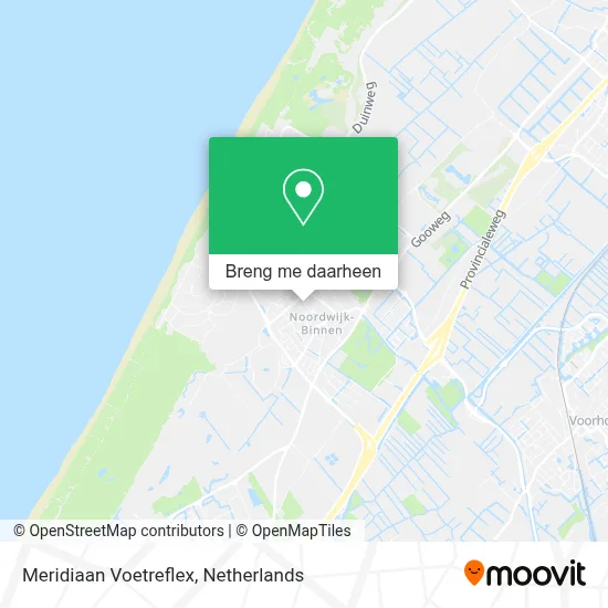 Meridiaan Voetreflex kaart