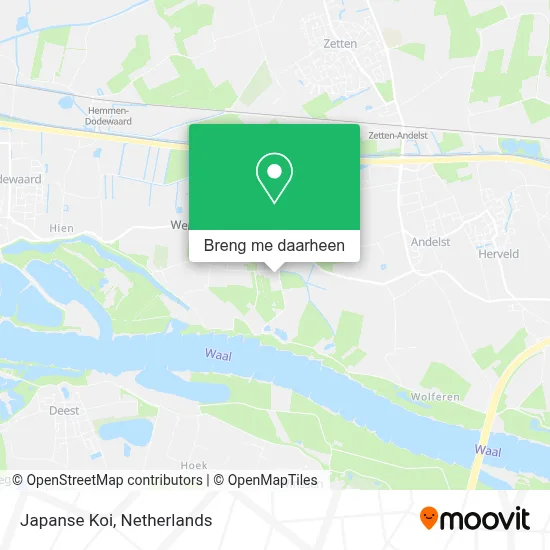 Japanse Koi kaart