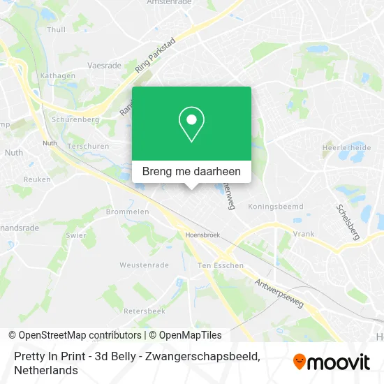 Pretty In Print - 3d Belly - Zwangerschapsbeeld kaart