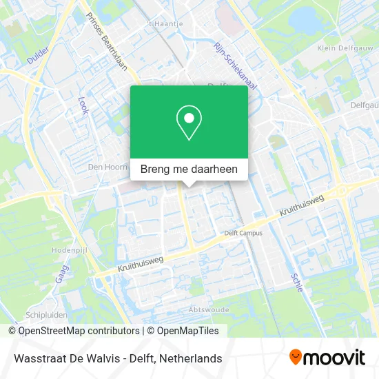 Wasstraat De Walvis - Delft kaart