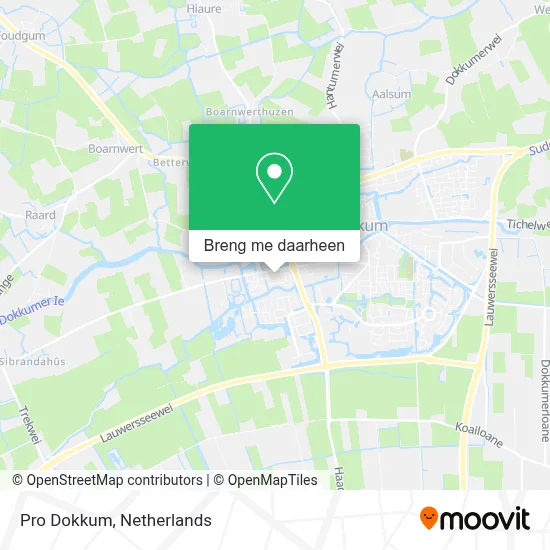 Pro Dokkum kaart
