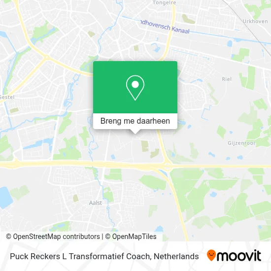 Puck Reckers L Transformatief Coach kaart