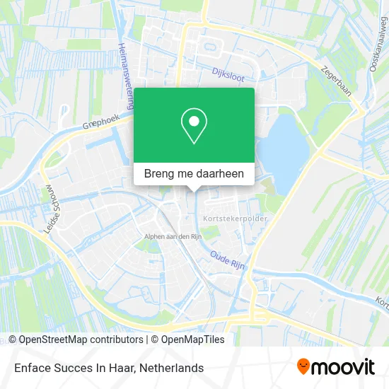 Enface Succes In Haar kaart