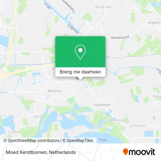 Moed Kerstbomen kaart