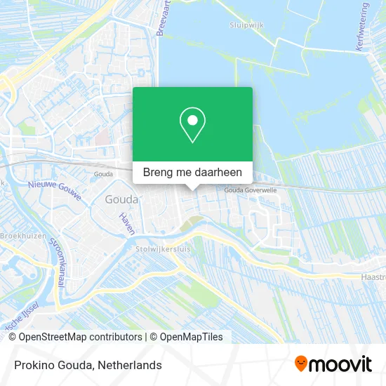 Prokino Gouda kaart