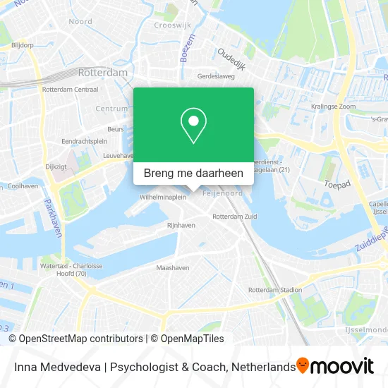 Inna Medvedeva | Psychologist & Coach kaart