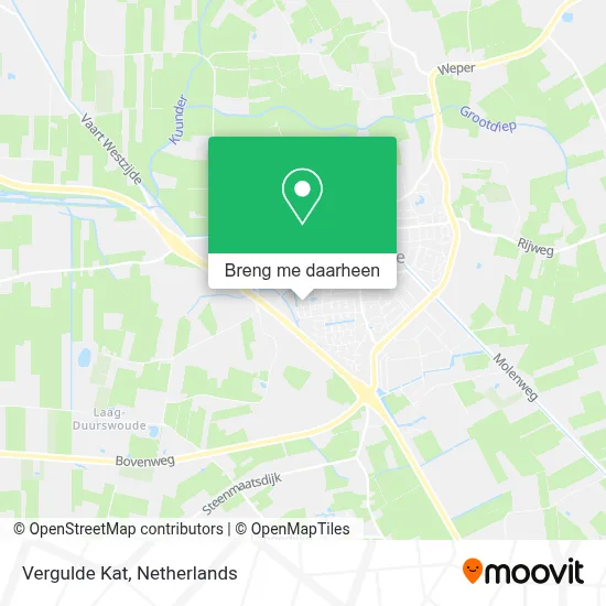 Vergulde Kat kaart