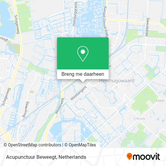 Acupunctuur Beweegt kaart
