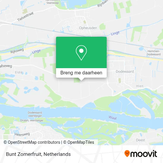 Bunt Zomerfruit kaart