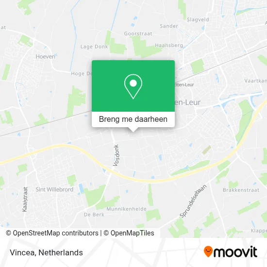 Vincea kaart