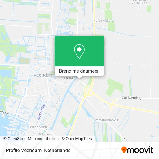 Profile Veendam kaart