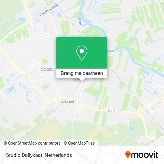 Studio Dailykaat kaart