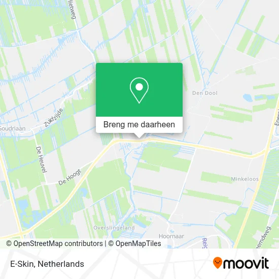 E-Skin kaart
